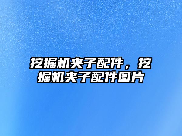 挖掘機夾子配件，挖掘機夾子配件圖片