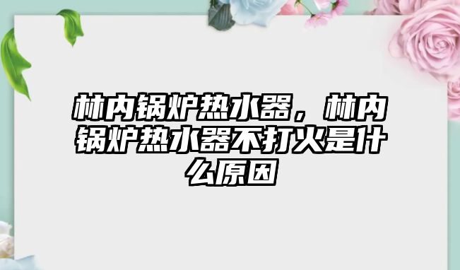 林內鍋爐熱水器，林內鍋爐熱水器不打火是什么原因