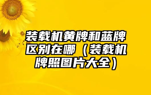 裝載機黃牌和藍牌區別在哪（裝載機牌照圖片大全）