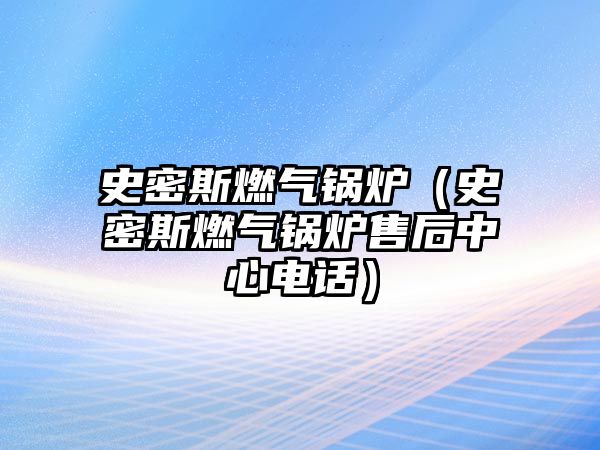 史密斯燃?xì)忮仩t（史密斯燃?xì)忮仩t售后中心電話）