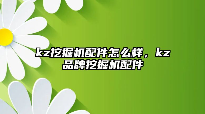 kz挖掘機配件怎么樣，kz品牌挖掘機配件