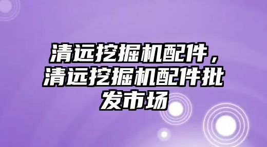 清遠挖掘機配件，清遠挖掘機配件批發市場