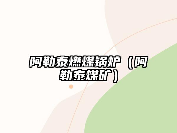 阿勒泰燃煤鍋爐（阿勒泰煤礦）