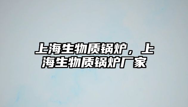 上海生物質鍋爐，上海生物質鍋爐廠家