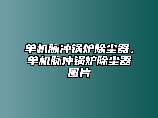 單機脈沖鍋爐除塵器，單機脈沖鍋爐除塵器圖片