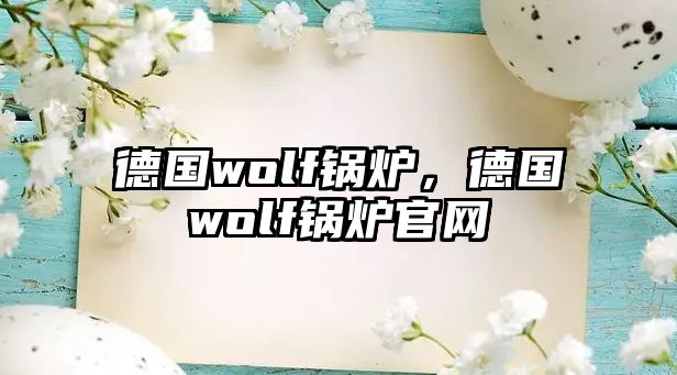 德國wolf鍋爐，德國wolf鍋爐官網