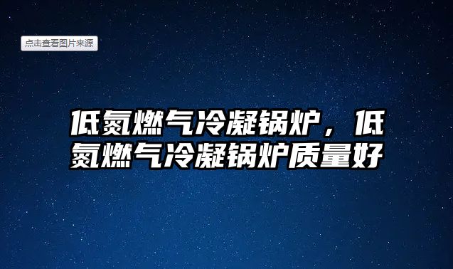 低氮燃?xì)饫淠仩t，低氮燃?xì)饫淠仩t質(zhì)量好