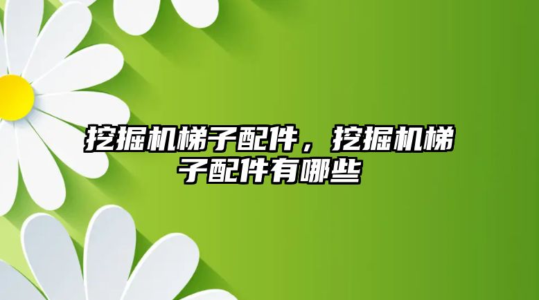 挖掘機梯子配件，挖掘機梯子配件有哪些