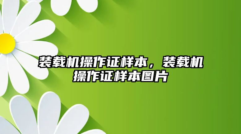 裝載機操作證樣本，裝載機操作證樣本圖片