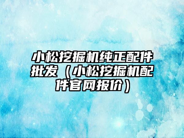 小松挖掘機純正配件批發（小松挖掘機配件官網報價）