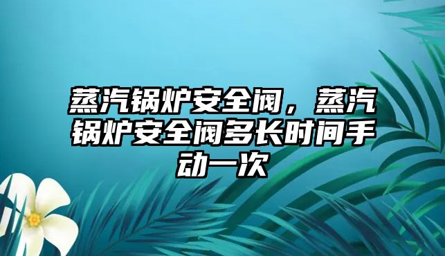 蒸汽鍋爐安全閥，蒸汽鍋爐安全閥多長時(shí)間手動一次