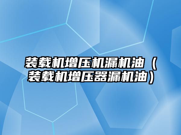 裝載機增壓機漏機油（裝載機增壓器漏機油）