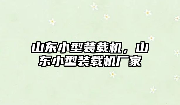 山東小型裝載機，山東小型裝載機廠家