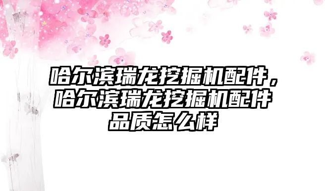 哈爾濱瑞龍挖掘機配件，哈爾濱瑞龍挖掘機配件品質怎么樣