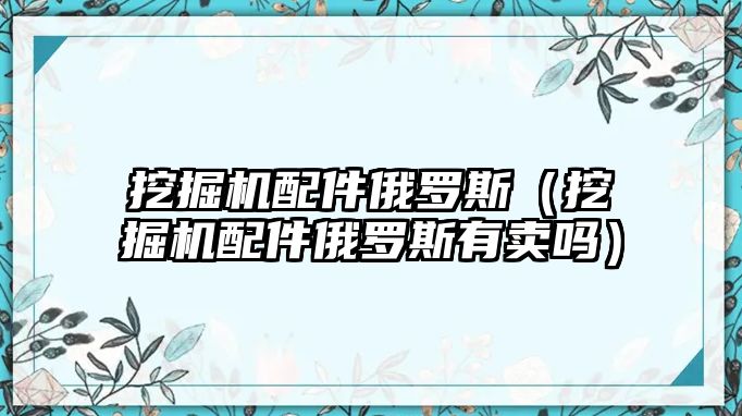 挖掘機配件俄羅斯（挖掘機配件俄羅斯有賣嗎）