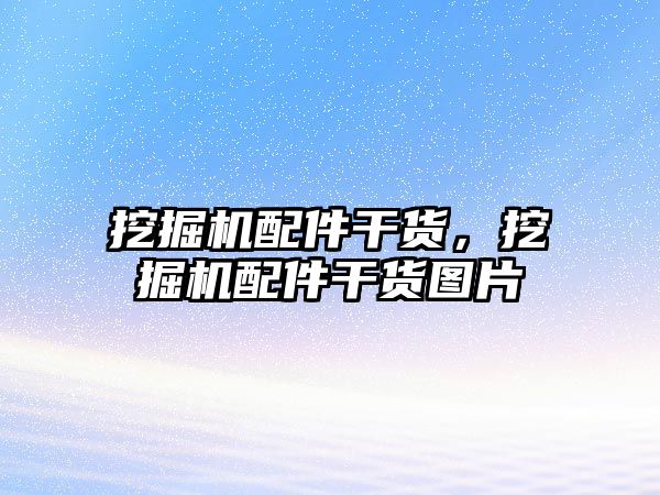 挖掘機配件干貨，挖掘機配件干貨圖片