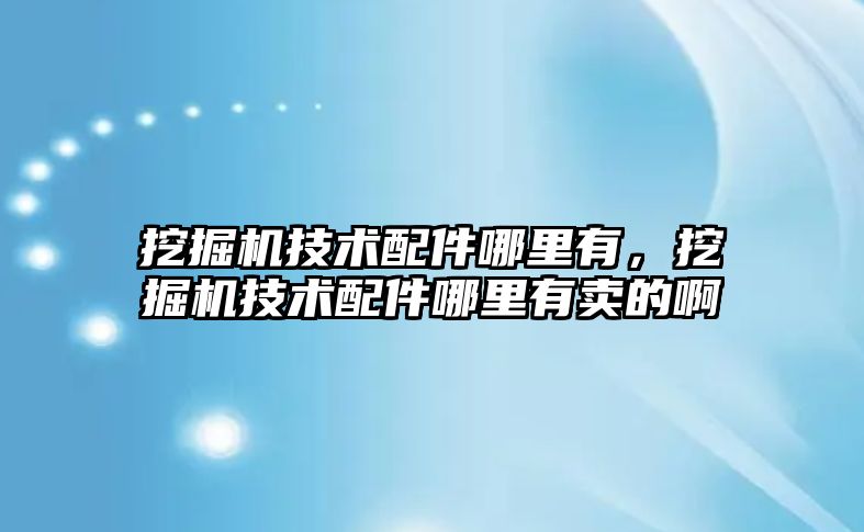 挖掘機技術配件哪里有，挖掘機技術配件哪里有賣的啊