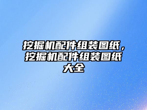 挖掘機配件組裝圖紙，挖掘機配件組裝圖紙大全