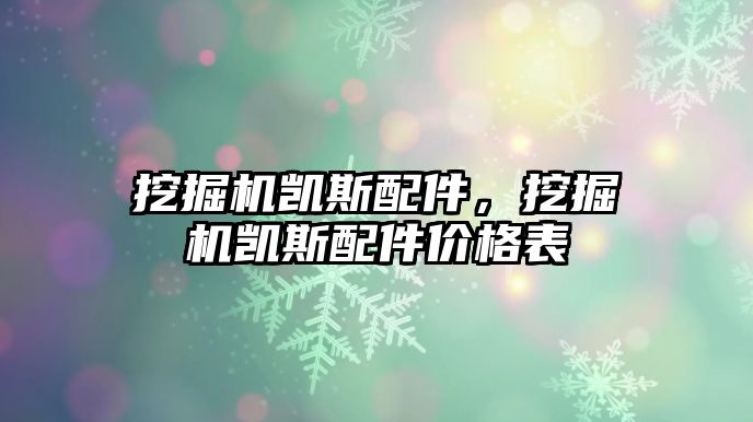 挖掘機(jī)凱斯配件，挖掘機(jī)凱斯配件價(jià)格表