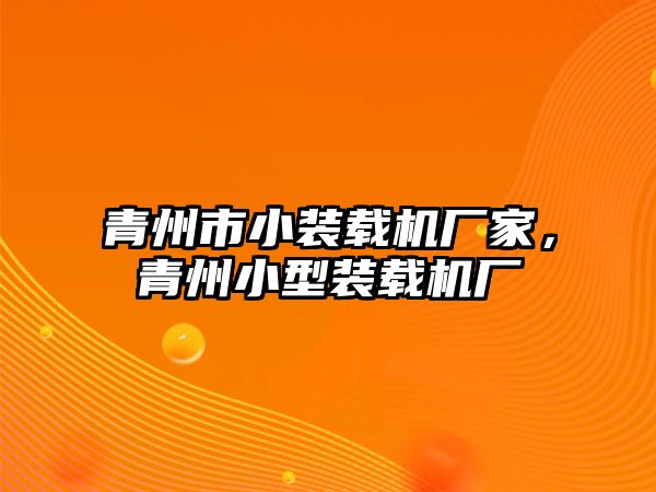 青州市小裝載機廠家，青州小型裝載機廠