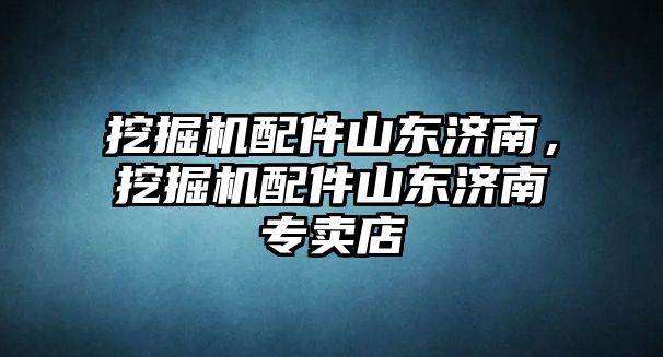 挖掘機(jī)配件山東濟(jì)南，挖掘機(jī)配件山東濟(jì)南專賣(mài)店