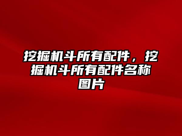 挖掘機斗所有配件，挖掘機斗所有配件名稱圖片