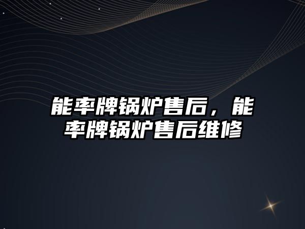 能率牌鍋爐售后，能率牌鍋爐售后維修