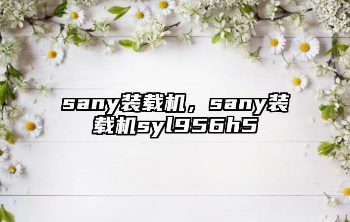 sany裝載機，sany裝載機syl956h5