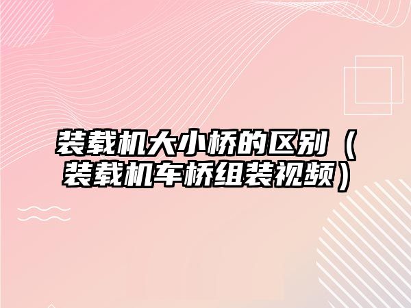 裝載機大小橋的區別（裝載機車橋組裝視頻）