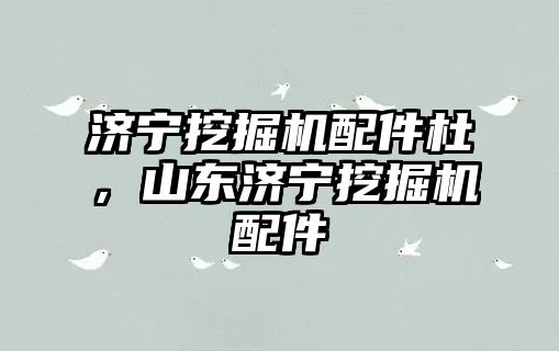 濟(jì)寧挖掘機(jī)配件杜，山東濟(jì)寧挖掘機(jī)配件