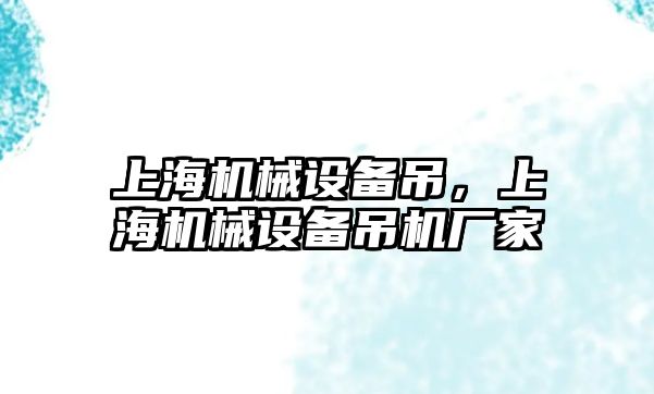 上海機械設備吊，上海機械設備吊機廠家