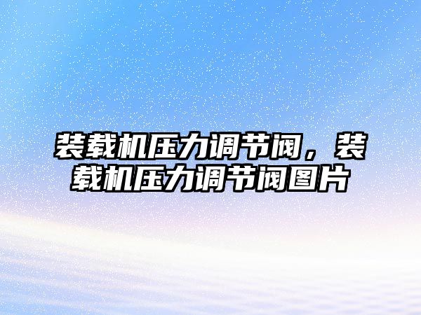 裝載機壓力調節閥，裝載機壓力調節閥圖片