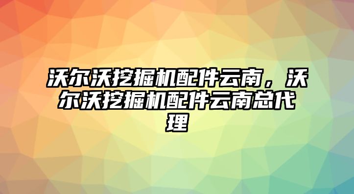 沃爾沃挖掘機配件云南，沃爾沃挖掘機配件云南總代理