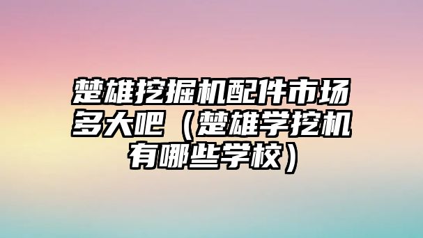 楚雄挖掘機(jī)配件市場(chǎng)多大吧（楚雄學(xué)挖機(jī)有哪些學(xué)校）