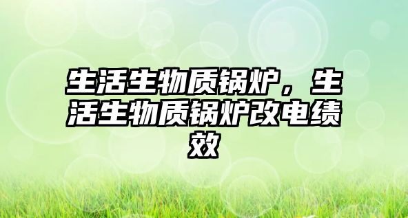 生活生物質(zhì)鍋爐，生活生物質(zhì)鍋爐改電績(jī)效