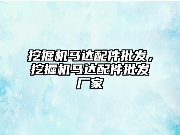 挖掘機馬達配件批發，挖掘機馬達配件批發廠家