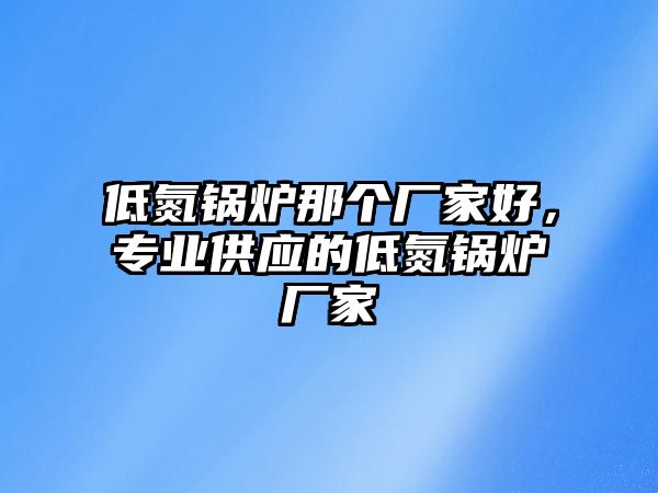 低氮鍋爐那個(gè)廠家好，專業(yè)供應(yīng)的低氮鍋爐廠家