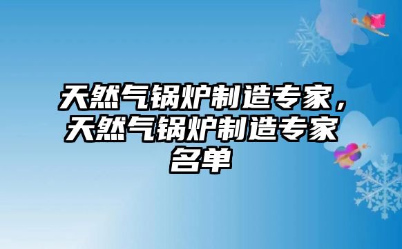 天然氣鍋爐制造專家，天然氣鍋爐制造專家名單