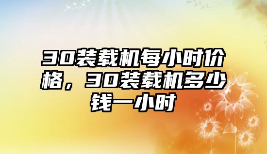 30裝載機每小時價格，30裝載機多少錢一小時