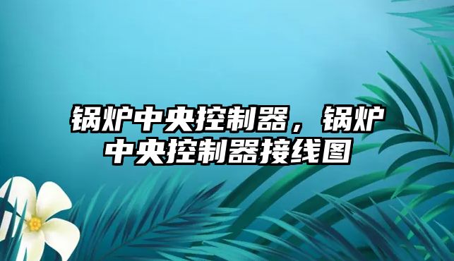 鍋爐中央控制器，鍋爐中央控制器接線圖