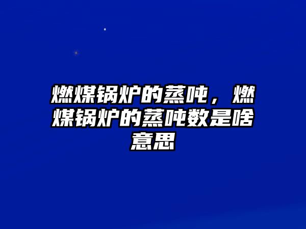 燃煤鍋爐的蒸噸，燃煤鍋爐的蒸噸數(shù)是啥意思