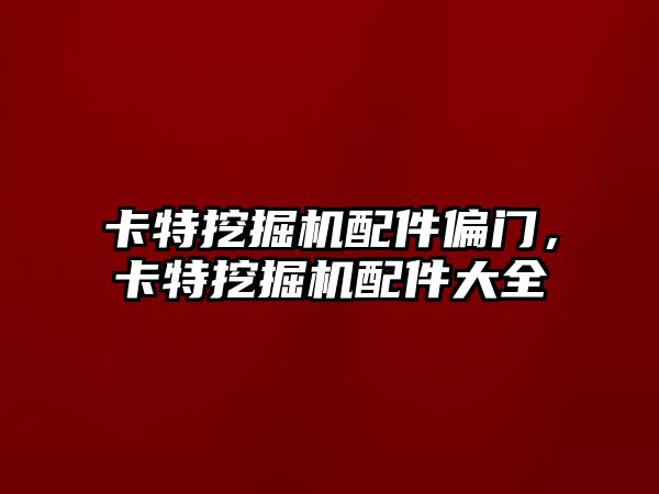 卡特挖掘機配件偏門，卡特挖掘機配件大全