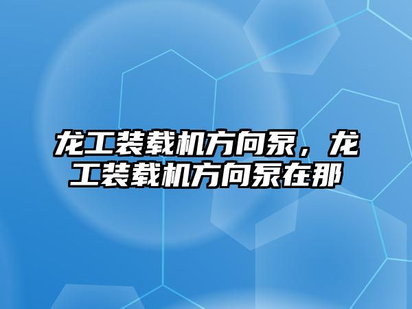 龍工裝載機方向泵，龍工裝載機方向泵在那