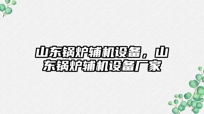 山東鍋爐輔機(jī)設(shè)備，山東鍋爐輔機(jī)設(shè)備廠家