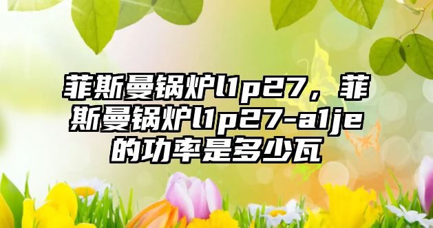 菲斯曼鍋爐l1p27，菲斯曼鍋爐l1p27-a1je的功率是多少瓦