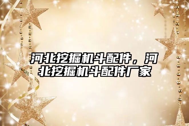 河北挖掘機斗配件，河北挖掘機斗配件廠家