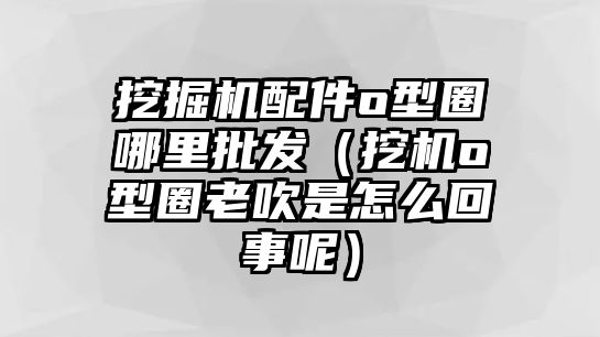 挖掘機配件o型圈哪里批發（挖機o型圈老吹是怎么回事呢）