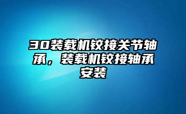 30裝載機鉸接關節軸承，裝載機鉸接軸承安裝