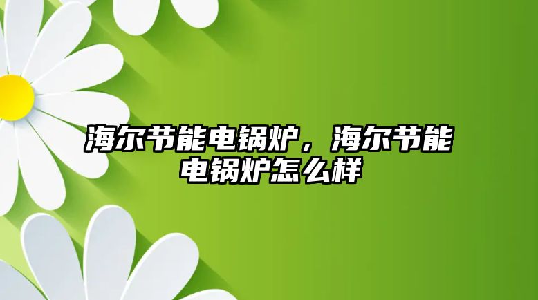 海爾節(jié)能電鍋爐，海爾節(jié)能電鍋爐怎么樣