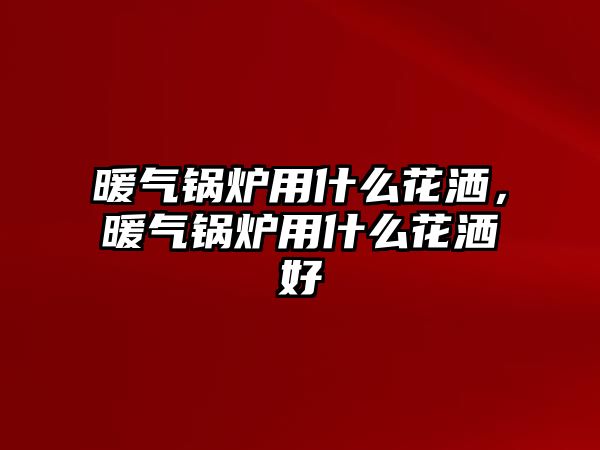 暖氣鍋爐用什么花灑，暖氣鍋爐用什么花灑好